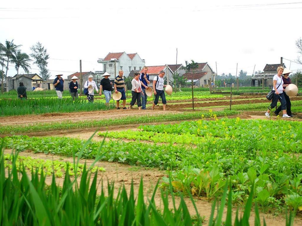 Green House Homestay Hoi An Esterno foto
