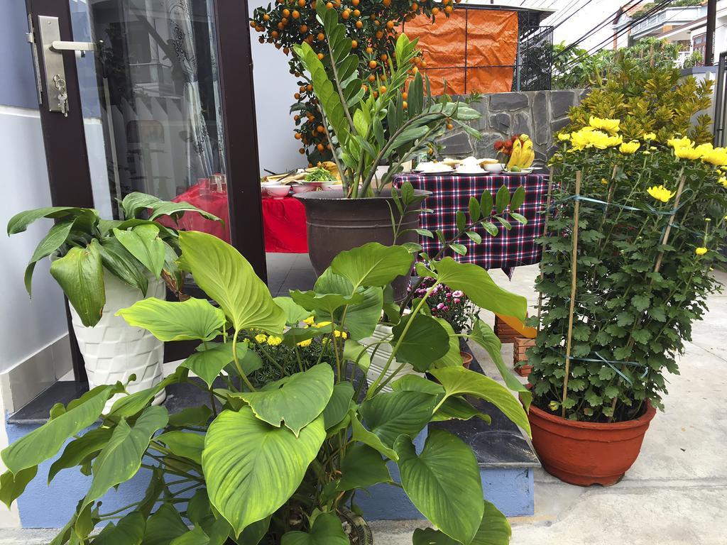 Green House Homestay Hoi An Esterno foto