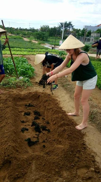 Green House Homestay Hoi An Esterno foto